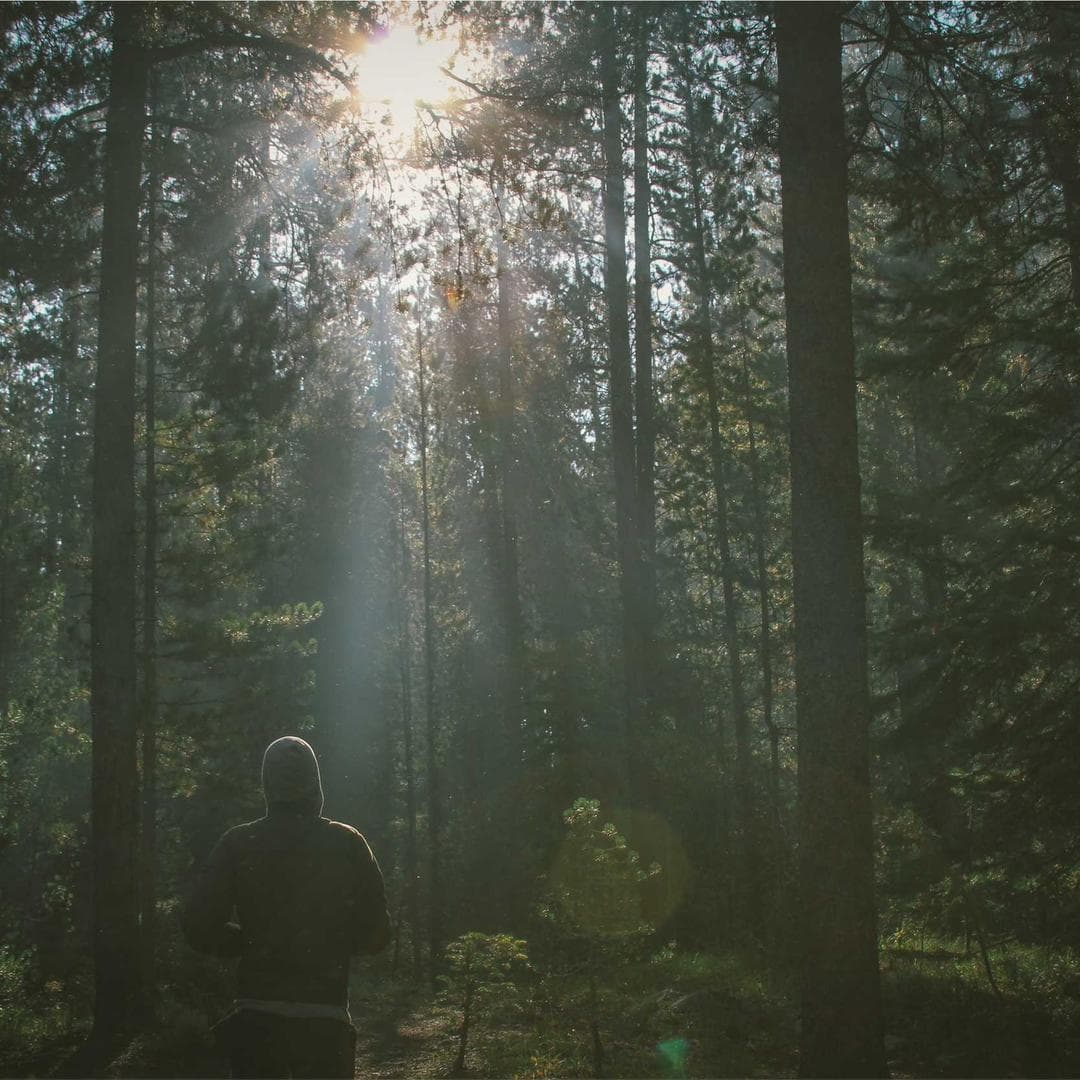 Extended Sample Product 7